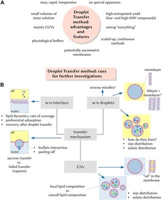 Commentary: Rapid and facile preparation of giant vesicles by the droplet transfer method for artificial cell construction